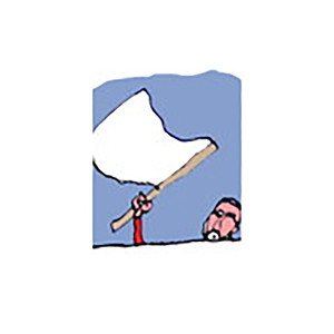 Immagine di Bandiera Bianca