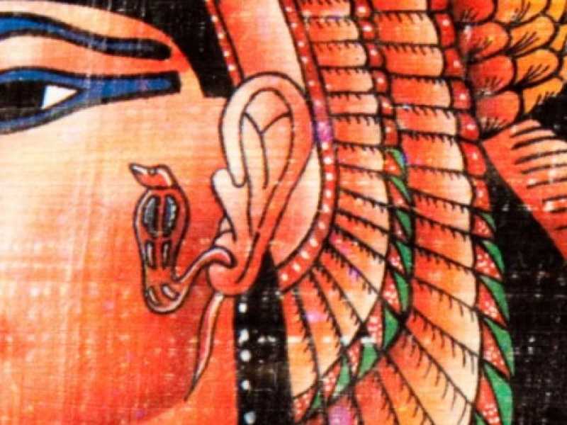 La nuova polemica sterile di Hollywood sarà sulla Cleopatra di Denis Villeneuve