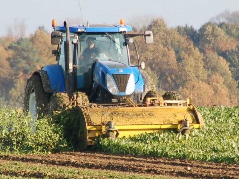 Pazzie sovraniste spiegate con l'agricoltura. Lezioni per Di Maio e Salvini