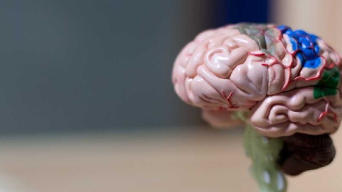 Immagine di Un tempo logorava, ora il potere chiude il cervello nella prigione dell’Io