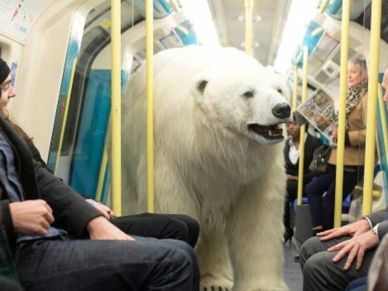 Londra, un finto orso in in citt&agrave; per il lancio di "Fortitude'" la nuova serie Sky (foto LaPresse)