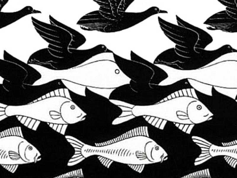 &ldquo;Cielo e acqua&rdquo; di Escher 
