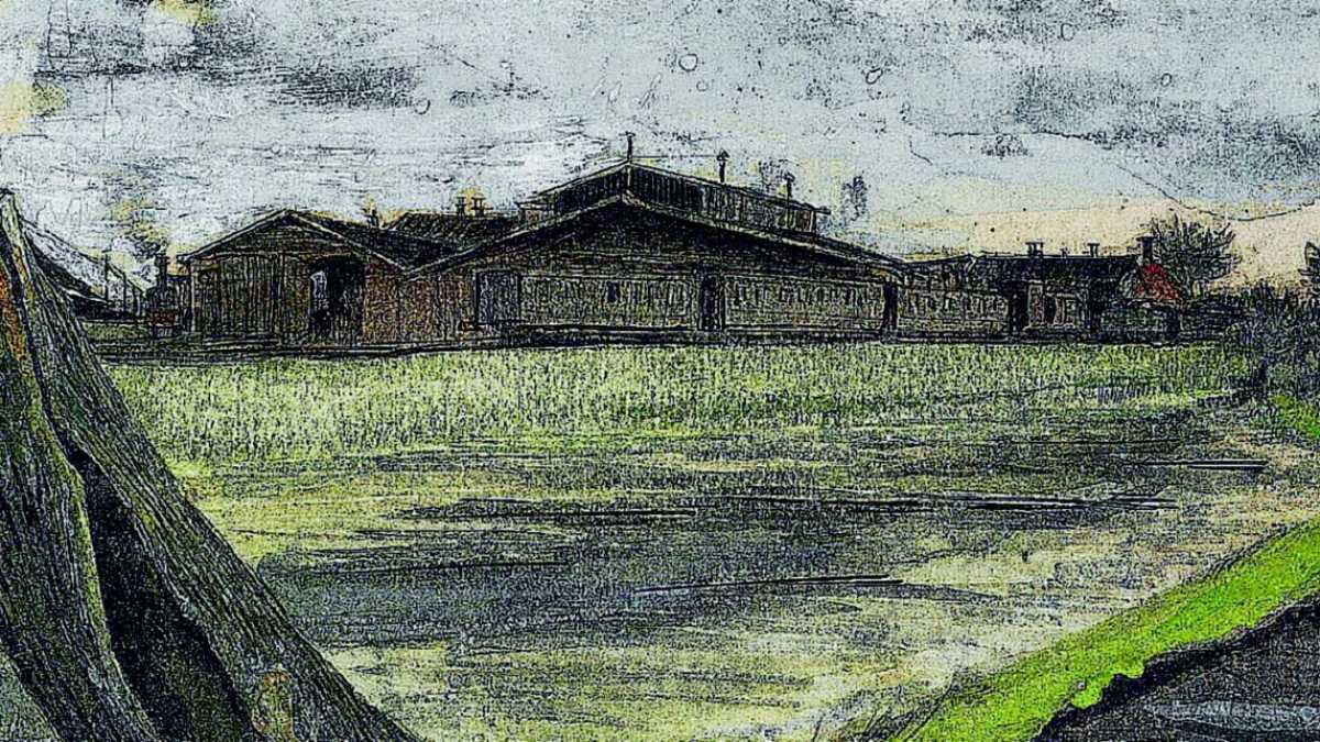 Immagine di Il cammino verso una libertà liberata dal desiderio