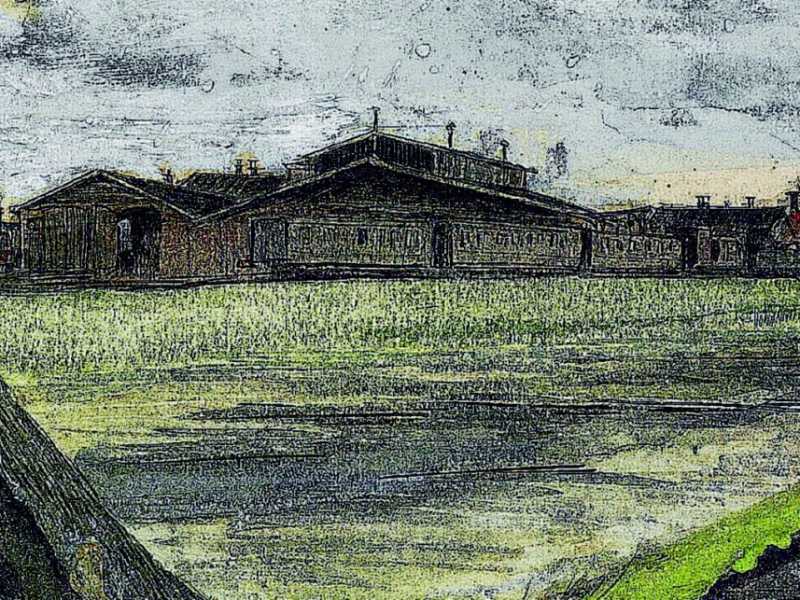 Vincent Van Gogh, &ldquo;Knotwilg&rdquo;, dipinto ad acquerello (particolare, 1882)