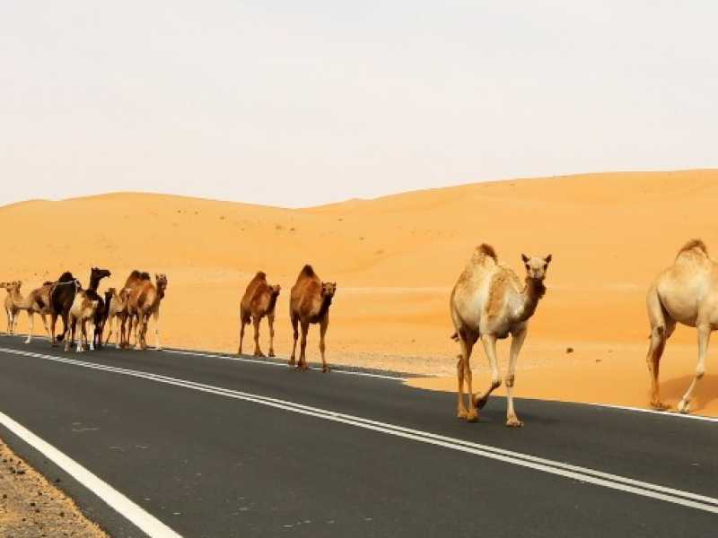 Il deserto di Liwa, a pochi chilometri da Abu Dhabi, &egrave; uno snodo cruciale della Nuova Via della seta cinese (foto Xinhua) 