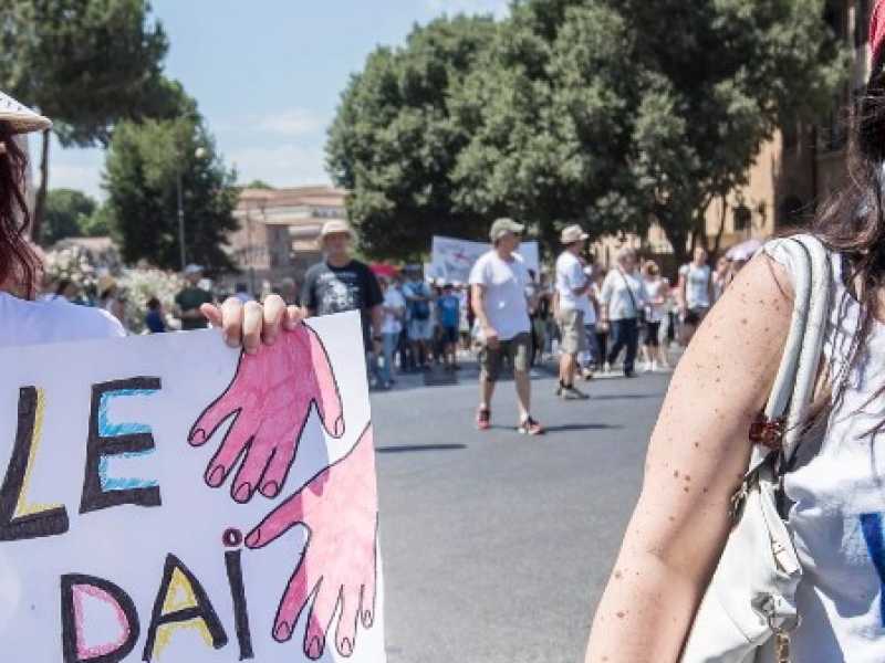 Manifestazione per la libert&agrave; di scelta vaccinale - Free vax, Roma 11-06-2017 (foto LaPresse)