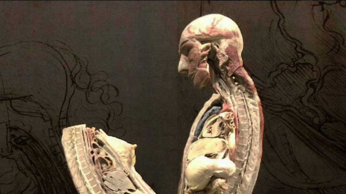 Immagine di Ora mandiamo mail di minacce anche ai cadaveri che fanno sesso