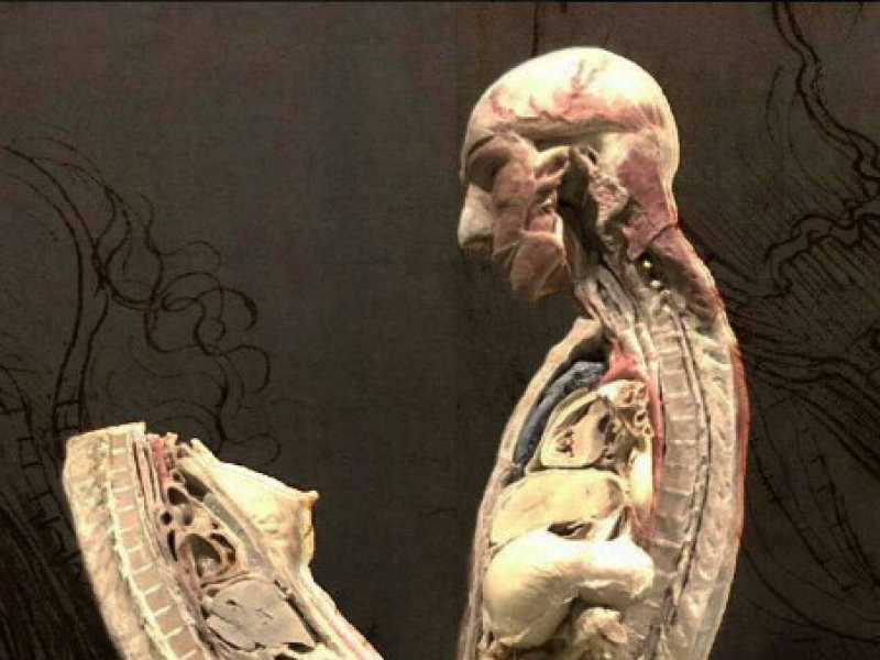 Ora mandiamo mail di minacce anche ai cadaveri che fanno sesso