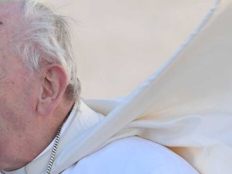Papa Francesco (foto LaPresse)