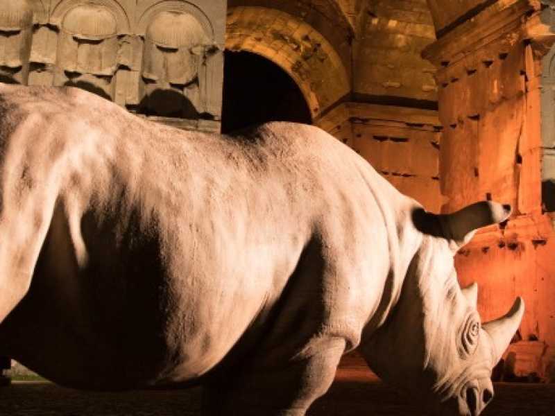 Il Rhinoceros della Fondazione Alda Fendi vicino all&rsquo;Arco di Giano, a Roma, prima di essere travolto dal forte vento che ha spazzato la Capitale nei giorni scorsi (foto LaPresse)