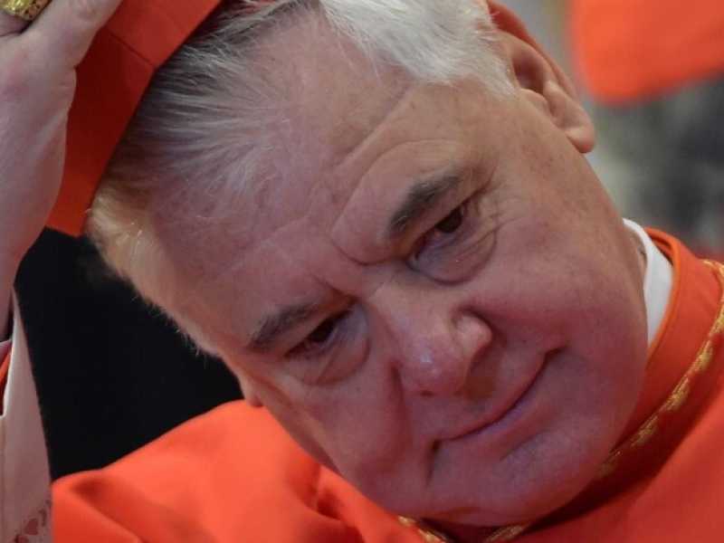 Gerhard Ludwig M&uuml;ller (foto LaPresse)