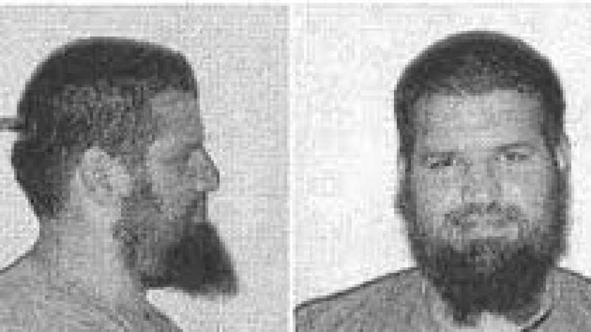 Immagine di Il pavido occidente polverizza jihadisti