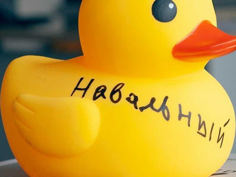 Gli anatroccoli sono il simbolo delle manifestazioni contro Putin organizzate da Navalny, sono un meme che rimanda all'inchiesta sulle dacie del premier Medvedev (Immagini prese dal sito di Navalny)