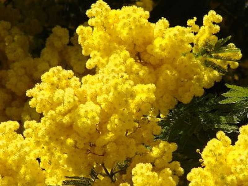 Il mio ruolo naturale lo decido io, e così nessuno si farà male