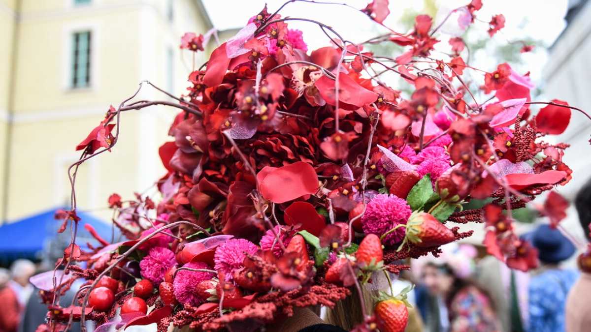 Immagine di A Orticola si porta il rosso corallo