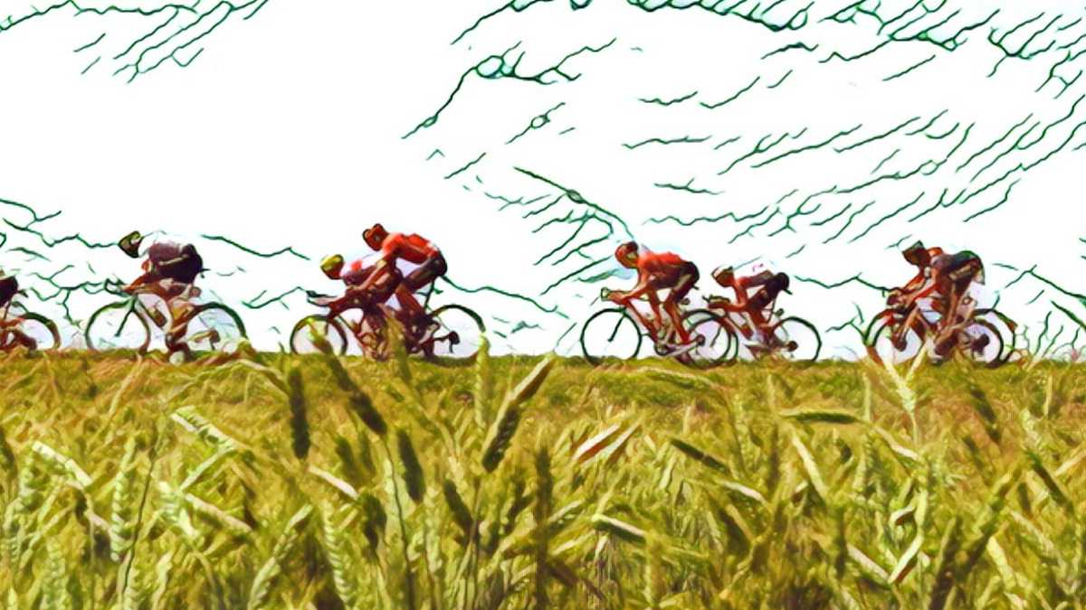 Immagine di Il Tour de France è un racconto