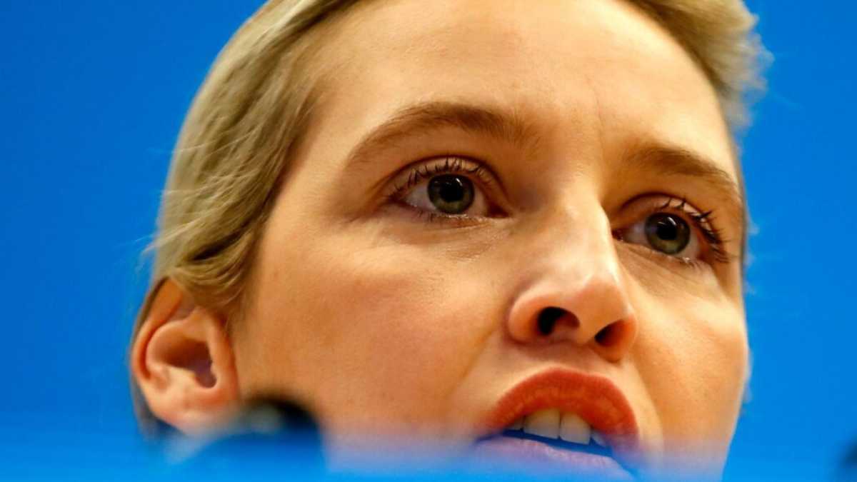 Immagine di Ricordate, siete tutti in pericolo. Il manifesto del mondo nero di Alice Weidel