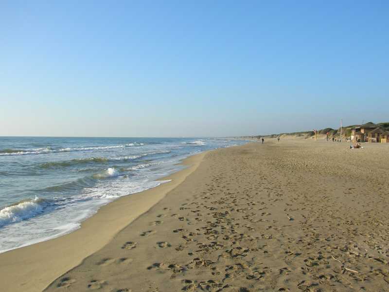 Spiaggia di Capocotta (via Wikipedia)