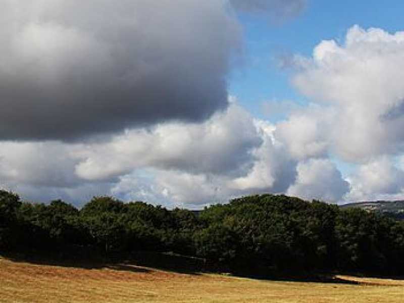 Cammino di Santiago (Wikimedia Commons)