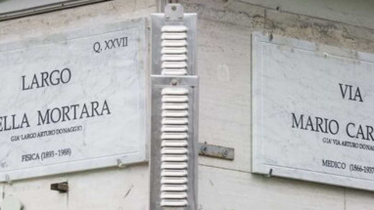 Immagine di La razza dei confusi