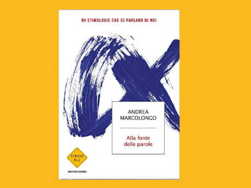 Copertina di "Alla fonte delle parole" di Andrea Marcolongo