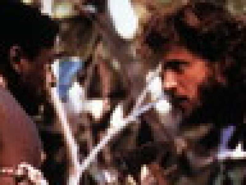 Una scena dal film "Robinson Crusoe - La storia vera"