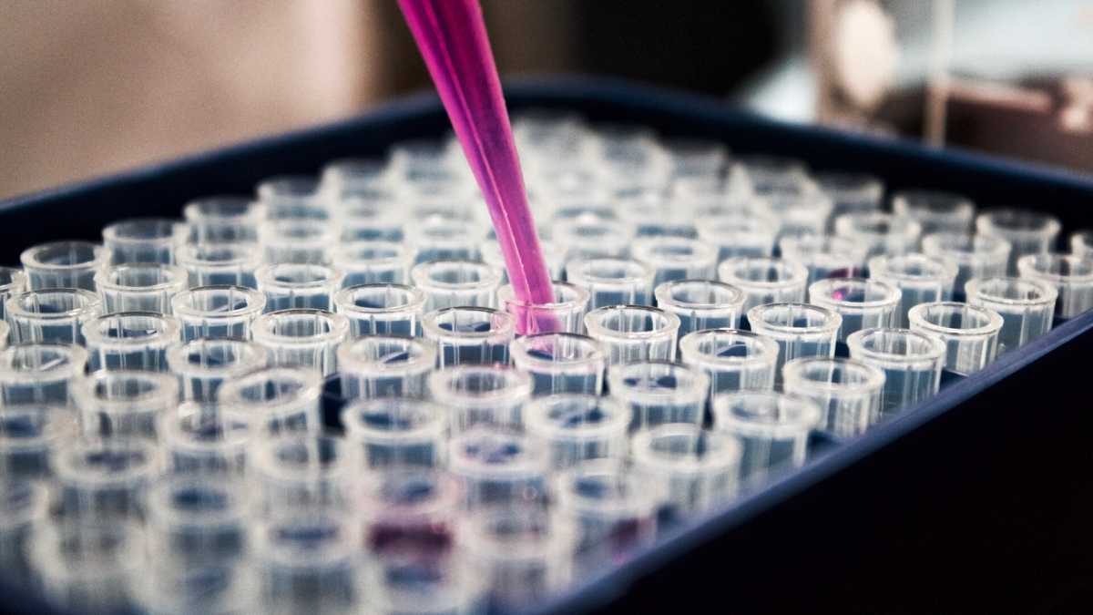 Immagine di Viva Big Pharma