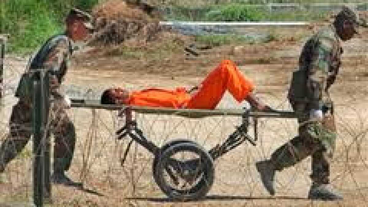 Immagine di Sofri ha ragione, intubarli è sbagliato. Lasciamoli morire di fame