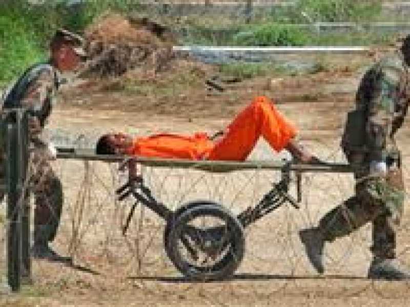 Sofri ha ragione, intubarli è sbagliato. Lasciamoli morire di fame