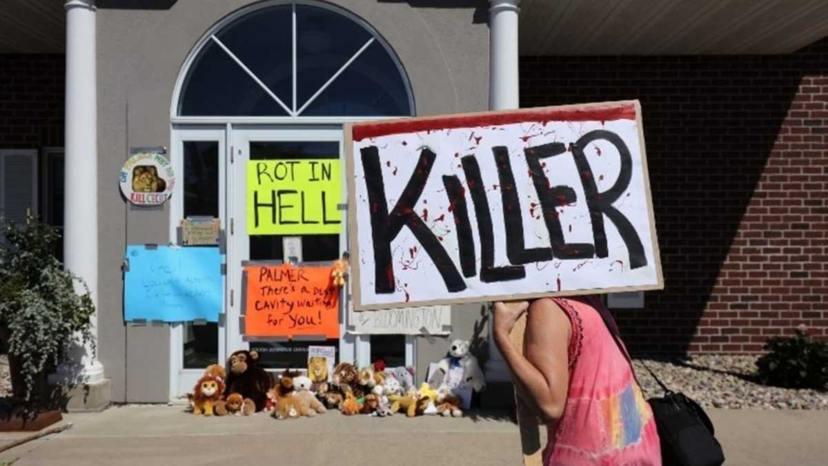 Immagine di Lo studente africano festeggia sul cadavere di Cecil e straccia la sghemba antropologia occidentale