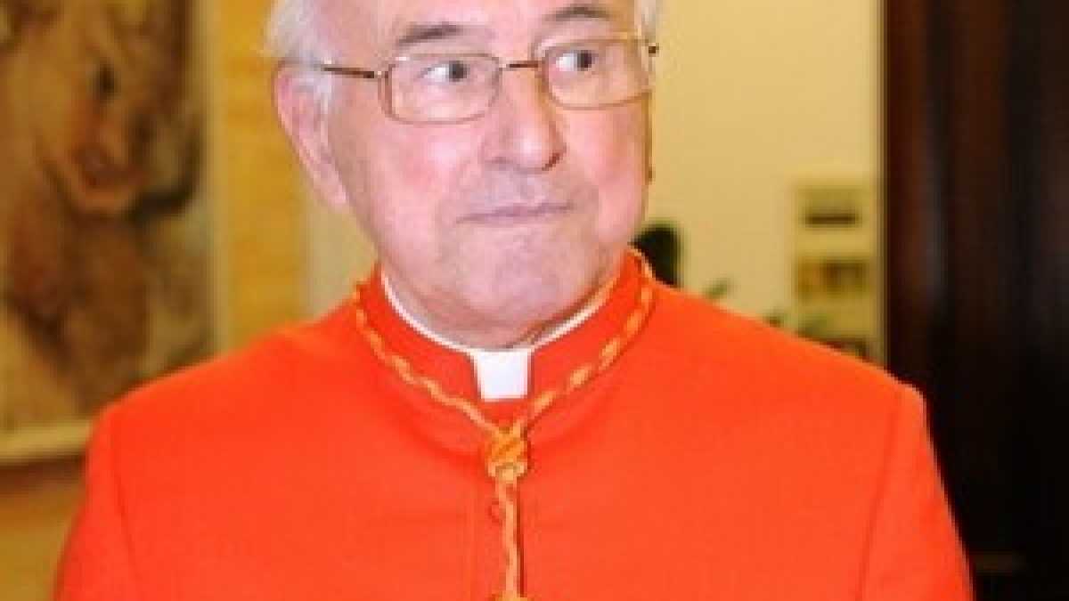 Immagine di La dottrina o il caos