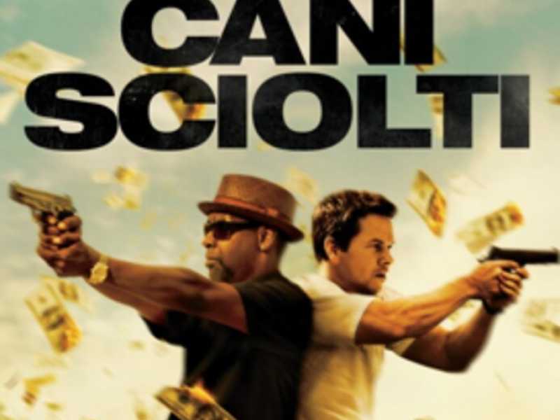 CANI SCIOLTI