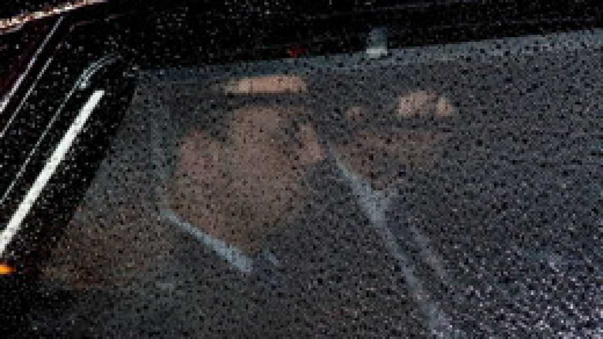 Immagine di Il Cav. apre le gabbie del Pdl, falchi e colombe volano ognuno per sé
