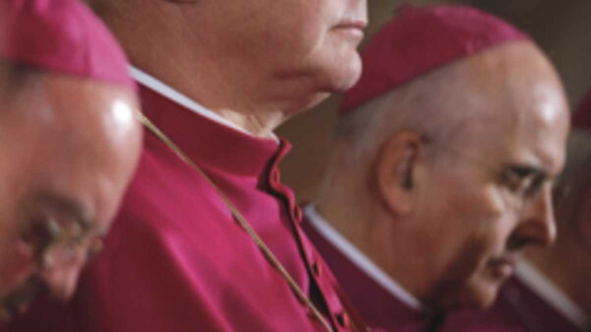 Immagine di Dominus Müller