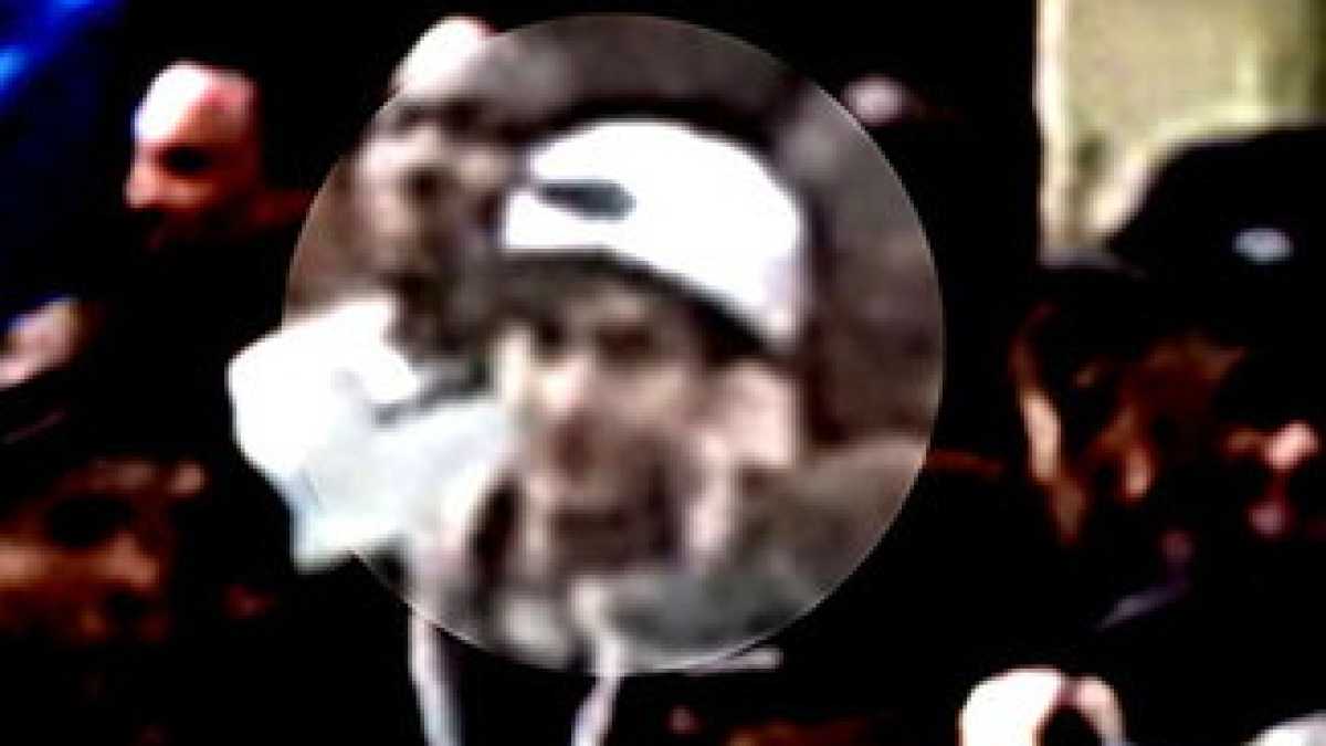 Immagine di Cinguettii, ansia da tabloid, ansia da Cnn. Che rimbambimento