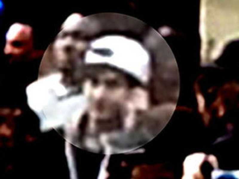 Cinguettii, ansia da tabloid, ansia da Cnn. Che rimbambimento