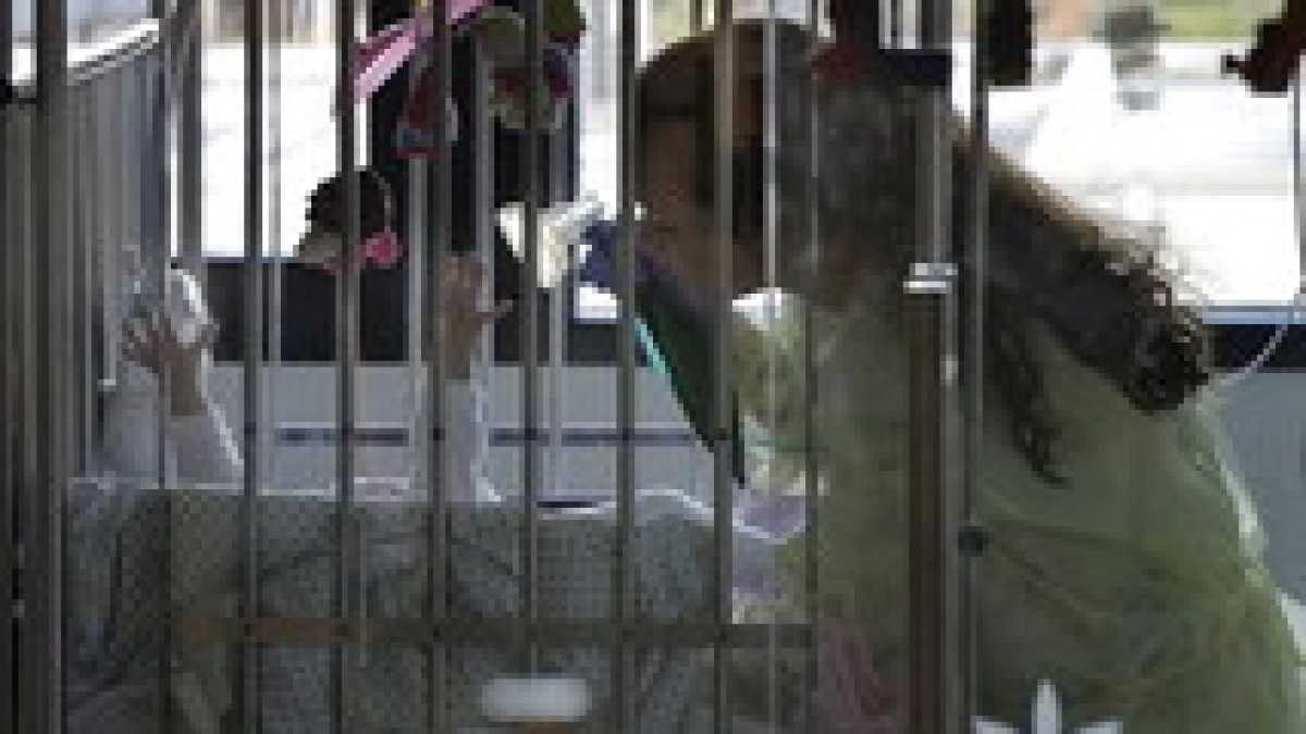 Immagine di Il Belgio lancia una nuova Aktion T4 contro i bambini handicappati