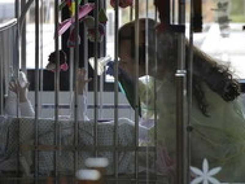Il Belgio lancia una nuova Aktion T4 contro i bambini handicappati