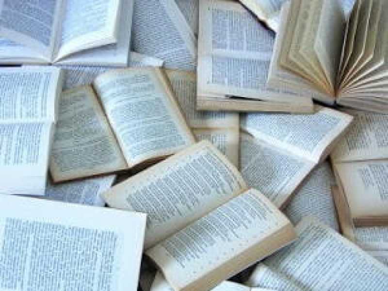 I libri mediocri e la giustizia. L’odore di sterco. Una conversazione