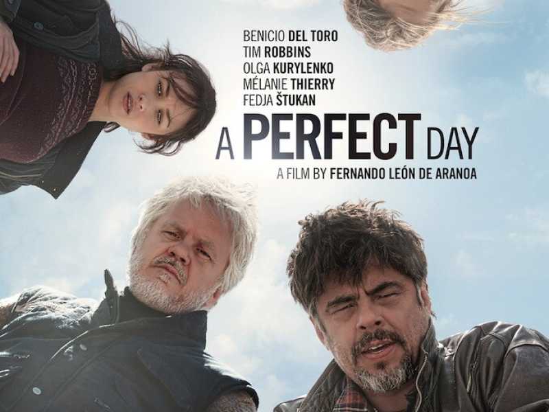 PERFECT DAY