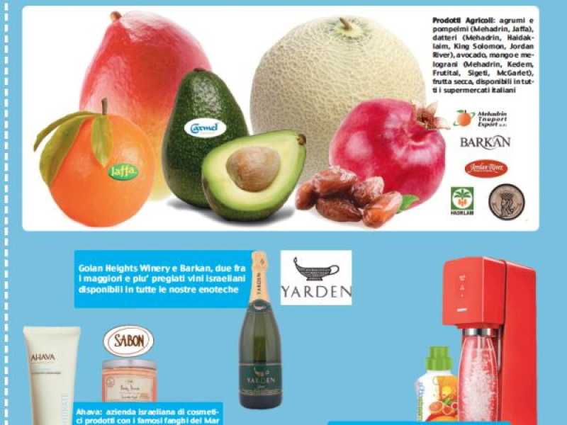 Pour combattre le boycott d'Israël