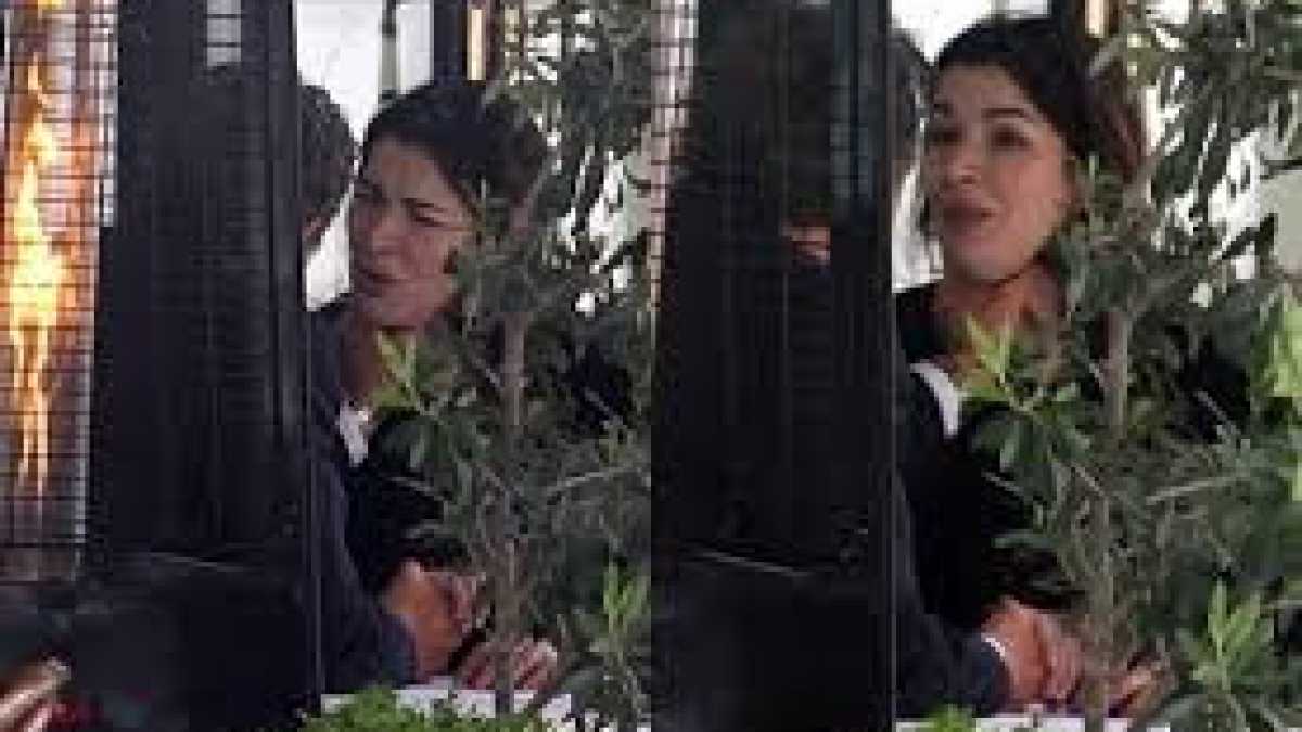 Immagine di Nigella e la bestia
