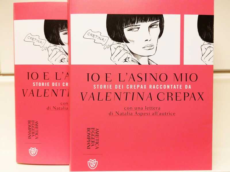 Io e l'asino mio