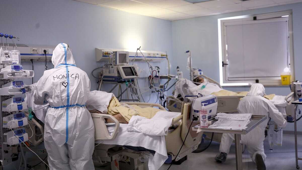 Immagine di Covid, 37809 nuovi casi e 446 decessi. Speranza alle Regioni: "Basta polemiche"