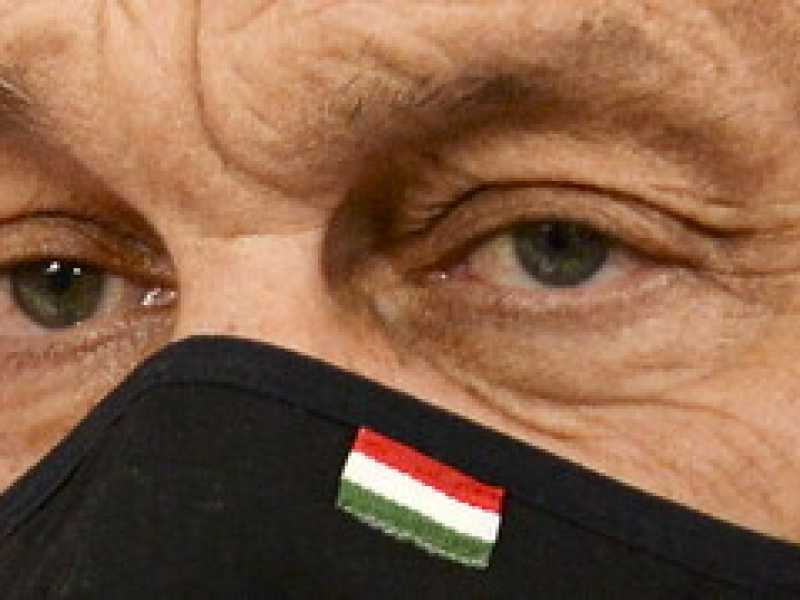 L'illiberalismo costa