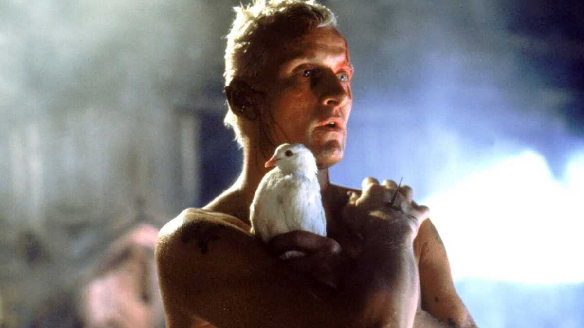 Immagine di Breve racconto onirico dell’imperscrutabilità della mente umana