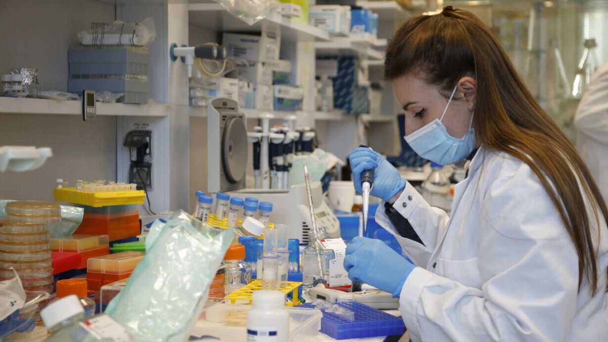 Immagine di La visione a lungo termine che manca su istruzione e ricerca