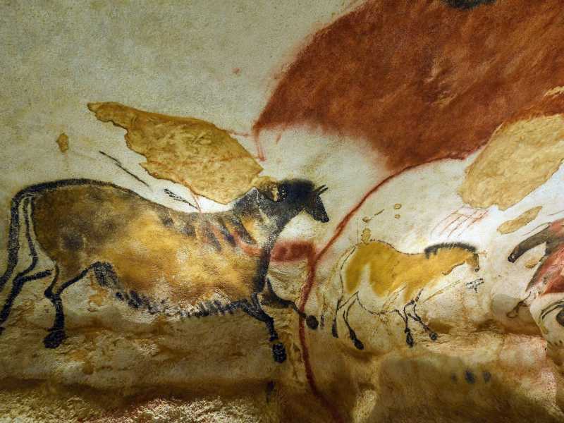 Un dipinto rupestre nelle grotte di Lascaux (Ansa)&nbsp;<br />