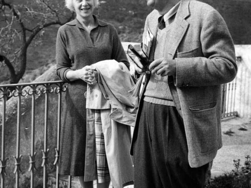 Il Superman di Nabokov