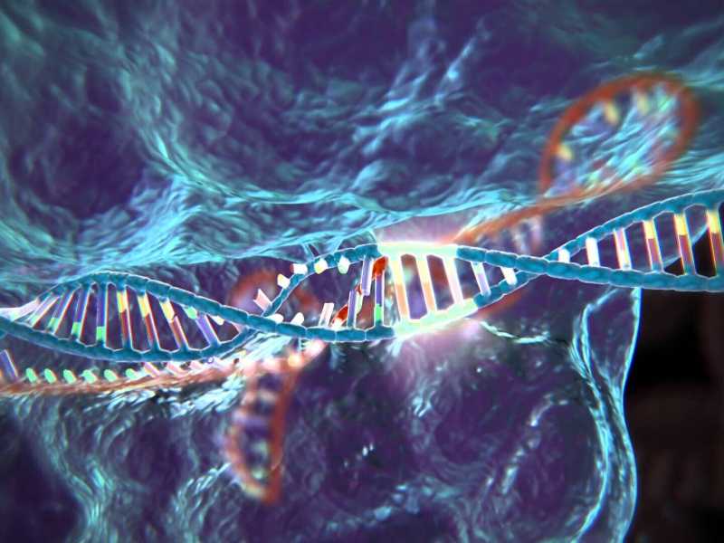 “Perché non creare bambini con gli occhi azzurri?”. I pericoli dell’editing del Dna